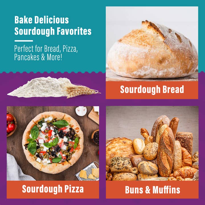 Bake Delicious Sourdough Pizza