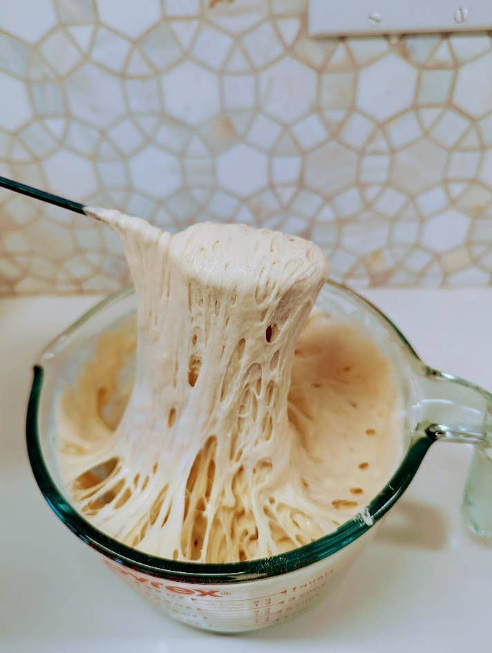 Sourdough Starter Organic