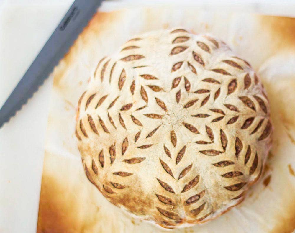 Sourdough Starter Organic