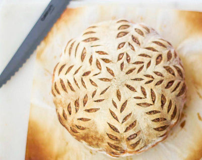 Sourdough Starter Organic